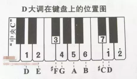 49键电子琴指法入门图片