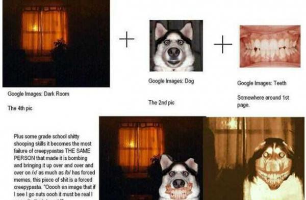 微笑狗之谜图片
