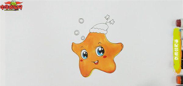 海星简笔画可爱贝壳图片