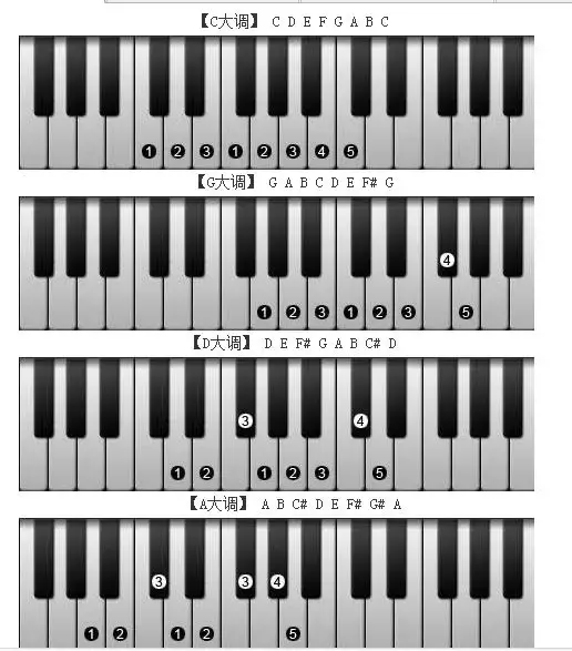 42键电子琴琴键对应图图片