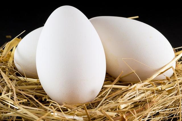 长期吃鸡蛋的好处(吃鹅蛋有哪些好处)