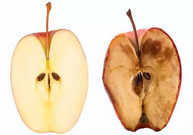 吃梨子的好处和坏处(每天吃一个梨子有什么好处和坏处)